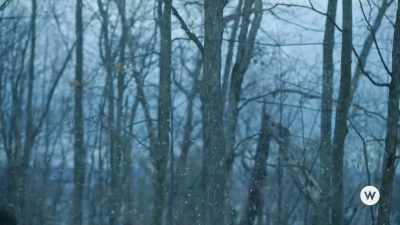 (wind howling) - My Grown-Up Christmas List