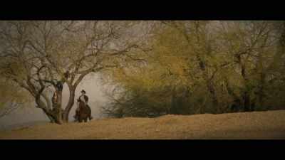 (wind in trees) - The Crossroads