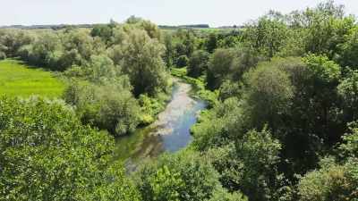 Wind and insects between them
pollinate virtually all land plants, - The Green Planet
