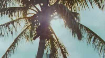 ["Wind of Change"] - The Bee Gees: How Can You Mend a Broken Heart