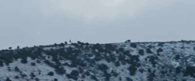 (WIND WHISTLING) - Wind River