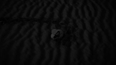 [wind whooshing] - Twin Peaks