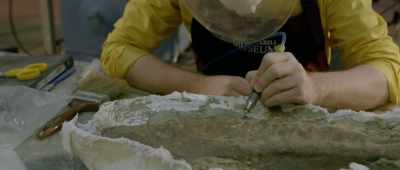 [winding and grinding] - Dino Dana: The Movie