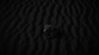 [wing flitters] - Twin Peaks