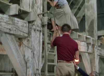 Wingait: Get back up there! - Summer Stock