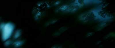 [wings flapping] - Alien: Battlefield Earth