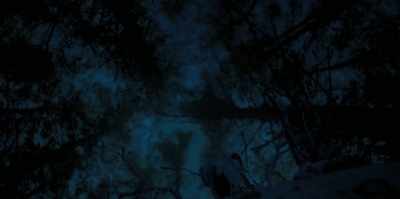 [wings fluttering] - The Watchers