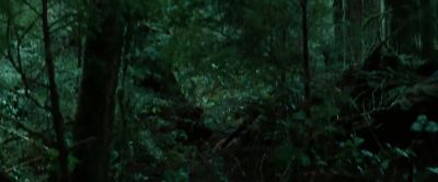 [WINGS FLUTTERING] - Twilight