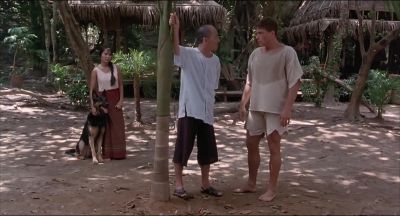 Winner palm tree - Kickboxer