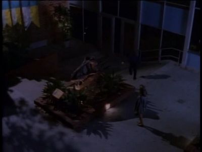 -WINNIE?! - The Wonder Years