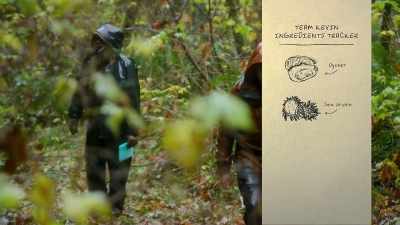 Winter foraging for mushrooms, - Chefs vs Wild
