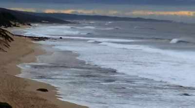 Winter surfers hit
a popular break - Shark Attack Files