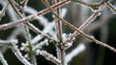 winter-temperatures-here-plummet-to-minus-50 - Strange Evidence