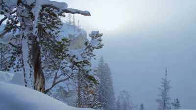 Winter's first deep freeze
is so extreme - Epic Yellowstone