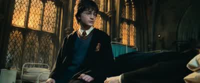 Wish you were here, Hermione. - Harry Potter and the Chamber of Secrets