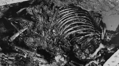 ..with 15 horses decaying, - Raiders of the Lost Past with Janina Ramirez