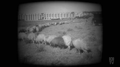 ..with a few
fat-tailed sheep arriving - Aussie Inventions That Changed The World