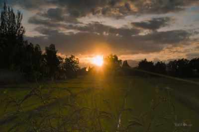 With a gorgeous abundant planet, - Thrive II: This Is What It Takes