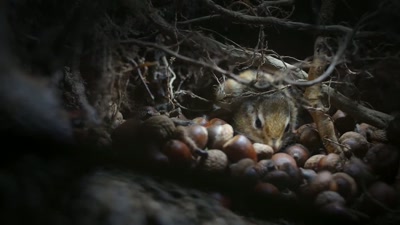 'With a little more work, - A Year on Planet Earth