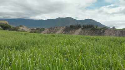 With a microclimate perfect
for growing sugar cane - Write Around the World with Richard E Grant