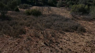 With a strange
radiation anomaly detected, - Beyond Skinwalker Ranch