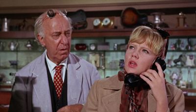 With accent This is Daphne Hofstedder speaking - That Darn Cat!