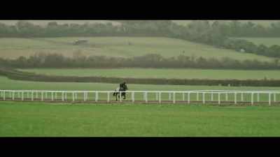 With Alcohol Free, her
ligaments and her tendons - Horsepower