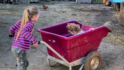 With all nine children at home 24/7 - Our Yorkshire Farm