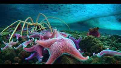 With all the competition here, - Our Oceans