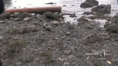 With an animal this big, - Alone