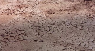 With broken hands and withered souls - Holes