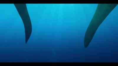 With consequences
for those swimming far above. - Our Oceans