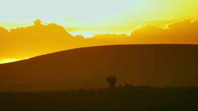 With dawn comes acceptance, - Serengeti