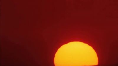 With enough time and enough money - The Endless Summer