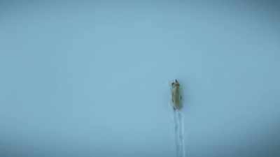 With fewer than two seals
every square mile, - Super/Natural