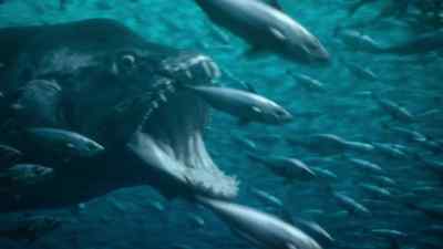 With its huge mouth, Xiphactinus can
scoop up several fish at once - Prehistoric Planet