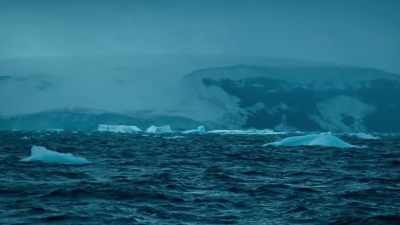 With icebergs colliding above, - Blue Planet II