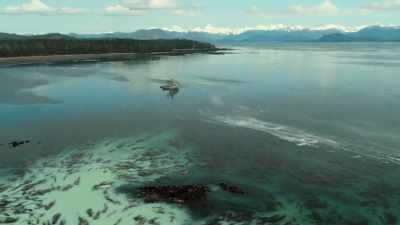 With industrialized fishing techniques - Our Planet