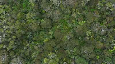 With kit clean, the team first
focus on filming - The Green Planet