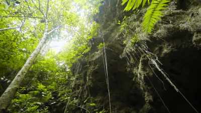 With light beginning to fade,
Laila heads back inside. - Lost Treasures of the Maya