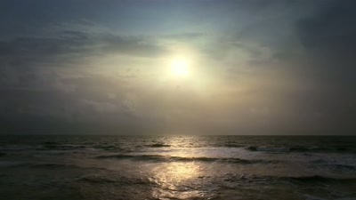 'With luck, he may go on
to live for over 50 years... - A Year on Planet Earth