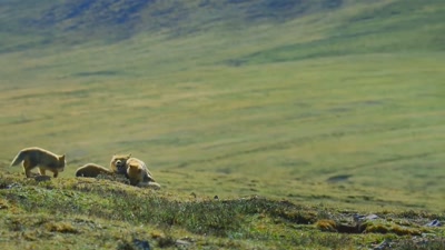 'With so many mouths to feed, - A Year on Planet Earth