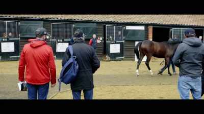 With Mick and Janice, - Horsepower
