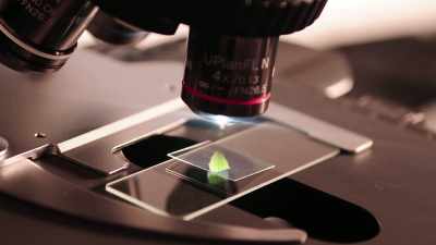 With microscope, you discover
micro world that is here, - The Way of the Psychonaut