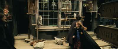 ...with my entire collected works... - Harry Potter and the Chamber of Secrets