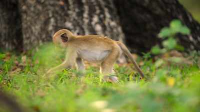 With no one watching over her,
Amma's oblivious. - Wild Babies