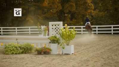 With only a one-fault total, - Taking the Reins