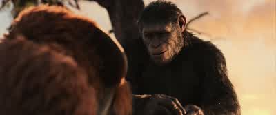 With... or without me. - War for the Planet of the Apes