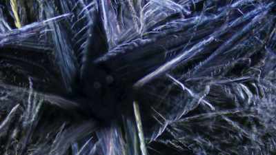 With each passing night,
temperatures continue to fall. - Frozen Planet II