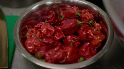 With his peppers,
my knowledge of flavors, - Superhot: The Spicy World of Pepper People